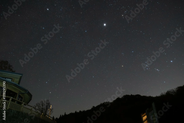 Fototapeta 冬のオリオン座