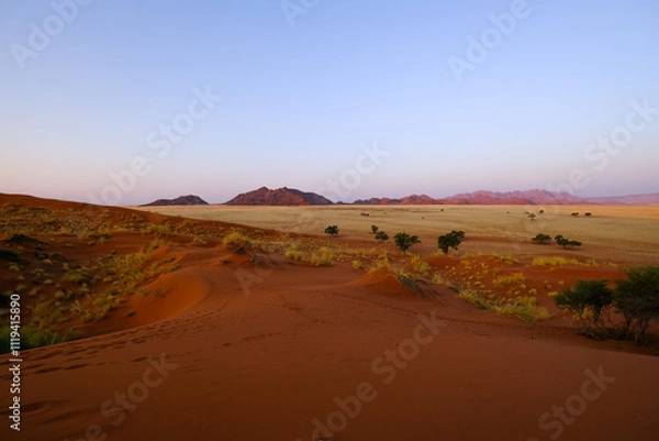 Obraz A vibrant Namibian desert scene captured from Elim Dune at sunset. The foreground showcases soft, wind-shaped sand dunes transitioning into golden savannah plains.