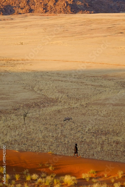 Obraz A tranquil desert landscape from Elim Dune, Namibia, featuring an oryx grazing on golden plains with red-hued mountains in the background with a lone figure walking barefoot.