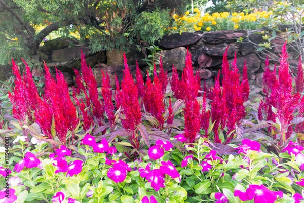 Obraz Pink and purple blossoms bloom in a colorful spring garden