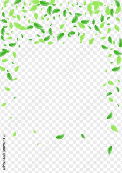 Obraz Greenish Foliage Background Transparent Vector. Plant Herbal Illustration. Floral Frame. Light Green Concept Design. Leaf Clean.