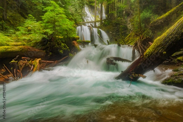 Obraz Wiosenne wodospady