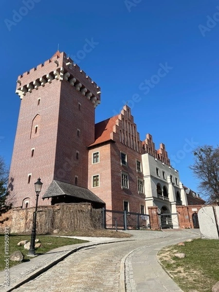 Fototapeta Old architectural building with red brick walls, ancient castle, trees around. The Royal Castle in Poznan, the oldest preserved royal residence in Poland. 