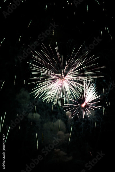 Obraz Fireworks