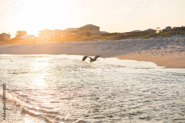 Obraz crane in flight 