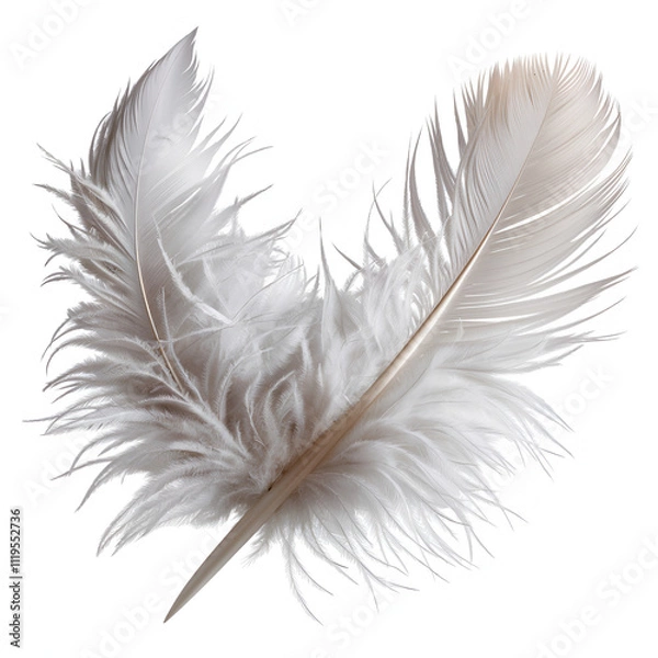 Obraz Elegant White Feather Close-Up on Clean Background