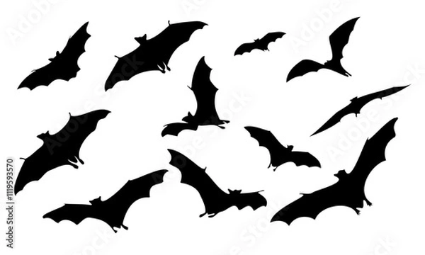 Obraz Collection of halloween bats silhouettes