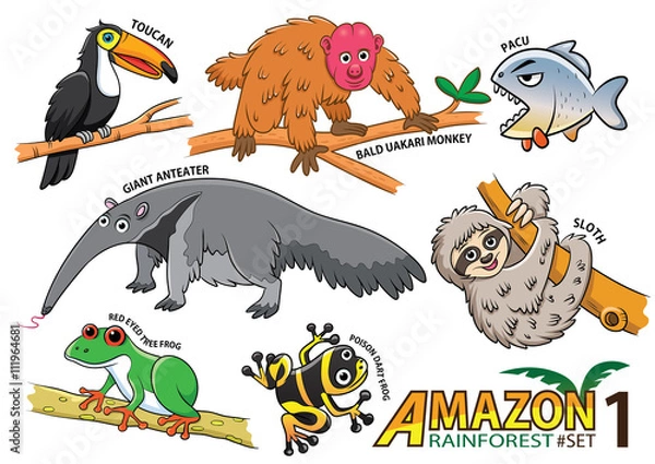 Fototapeta Set of Cute cartoon Animals and birds in the Amazon areas of Sou