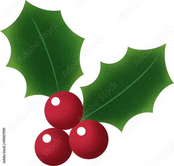 Obraz Agrifoglio di Natale Illustrazione Isolata