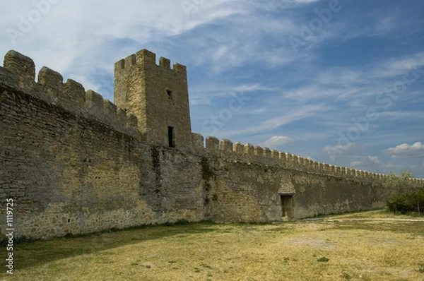 Fototapeta battlement