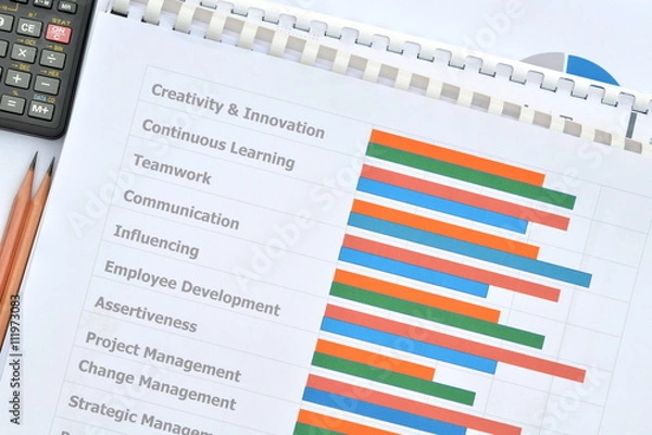 Fototapeta Business documents at workplace,individual competency report for people development.