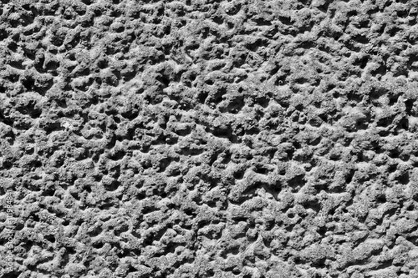 Fototapeta coarse gray plaster