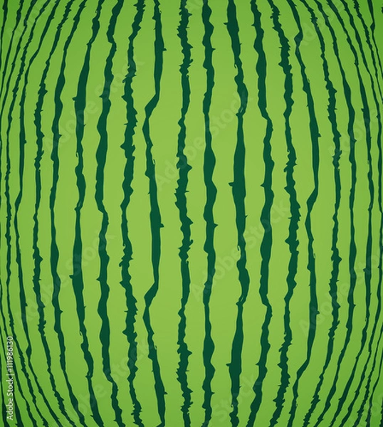 Fototapeta Watermelon texture background, vector