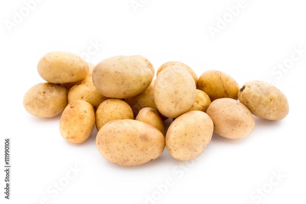 Fototapeta New potato isolated on white background.