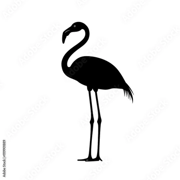 Fototapeta 2D full body illustration full body shot of a flamingo silhouette isolated on a white transparent background