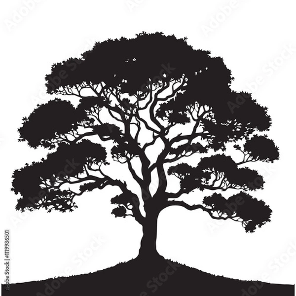Fototapeta Tree silhouette vector with white background