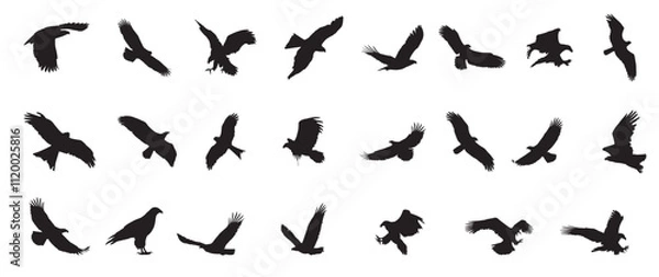 Fototapeta Eagle icons flying with spread wings. Editable Vector birds of prey or predatory birds. Raptor eagle, falcon or hawk. Eagles Silhouette flying.