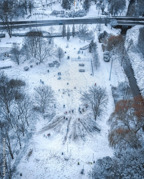 Obraz Winter in City