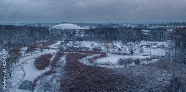 Obraz Winter in City