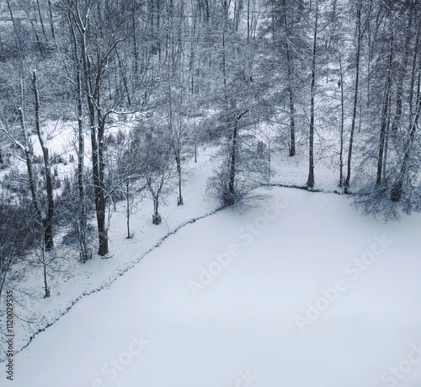 Obraz Winter in City