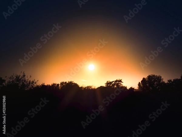 Obraz Autumn in City