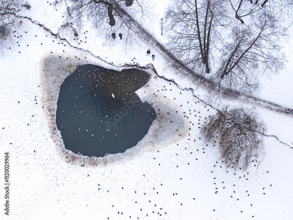 Obraz Winter in City