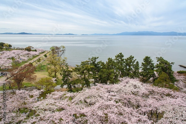 Obraz 長浜城天守閣からの眺望