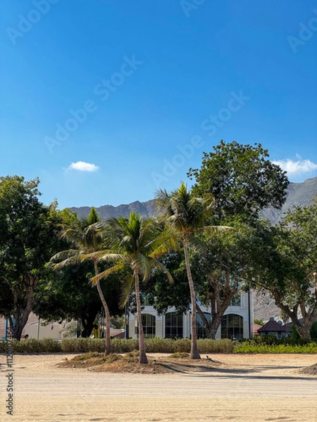 Obraz Khor Fakkan beach 