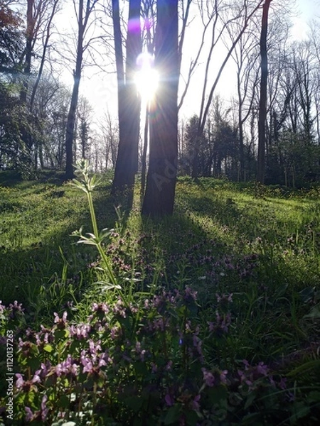 Obraz Flühling lässt sein blauen Band... E.Mörike