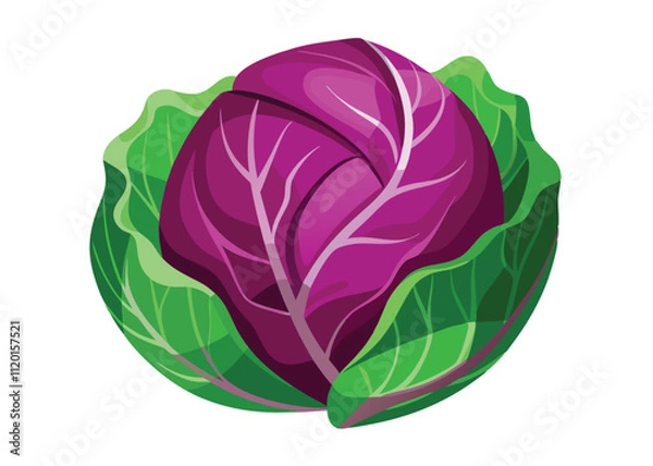 Obraz cabbage isolated on white background