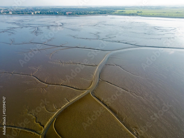 Fototapeta Aerial view of the tidal channels showing a fractal like structure, The Netherlands
