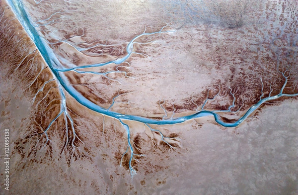 Fototapeta Aerial view of the tidal channels showing a fractal like structure, The Netherlands