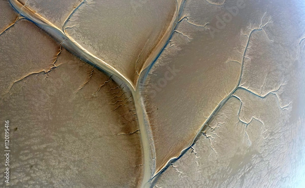Fototapeta Aerial view of the tidal channels showing a fractal like structure, The Netherlands
