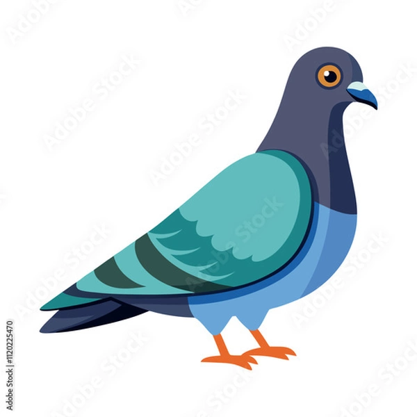 Obraz Print pigeon bird vector