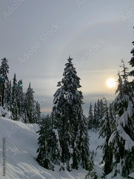Obraz Winter landscape with trees and snow