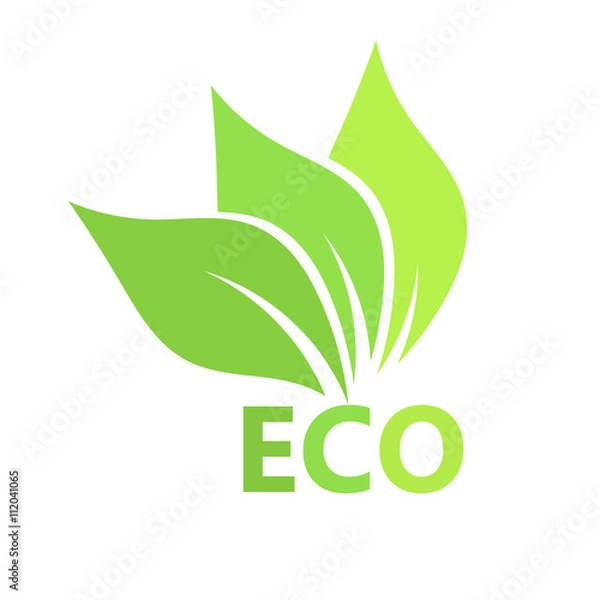 Obraz Eco leaves