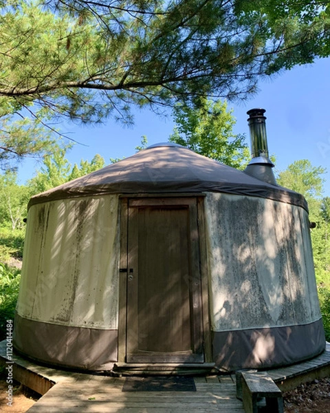 Obraz Yurt in a forest 