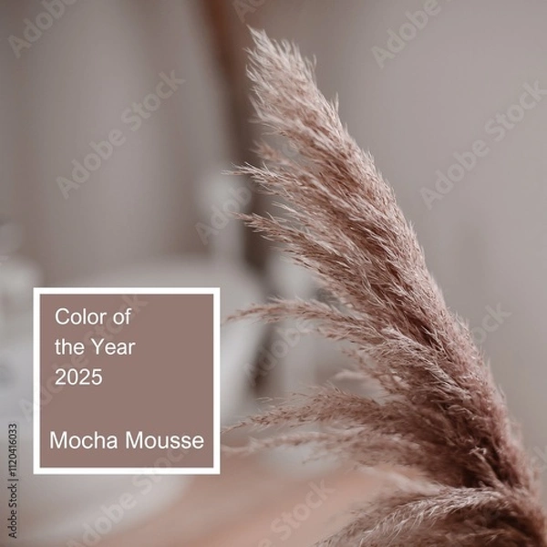 Fototapeta Pampas grass in interior or bathroom. Boho style in natural tones and neutral colors. Color of the Year 2025