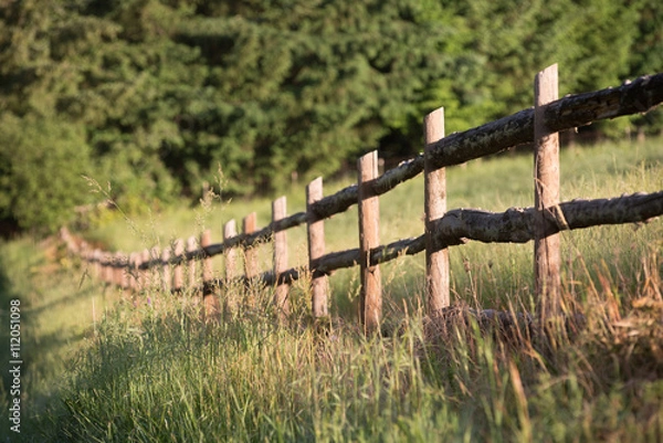 Obraz Rustic pole fence