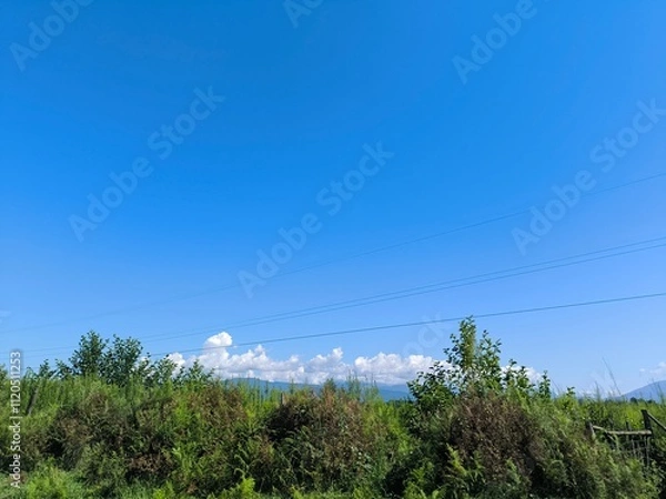 Fototapeta power lines