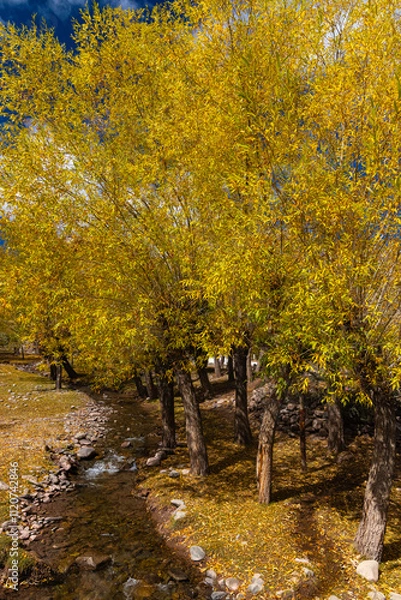 Fototapeta Water flowing down hill in a stream with trees on the sides during autumn season.