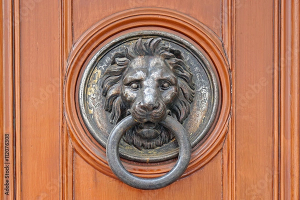 Obraz Door knocker lion