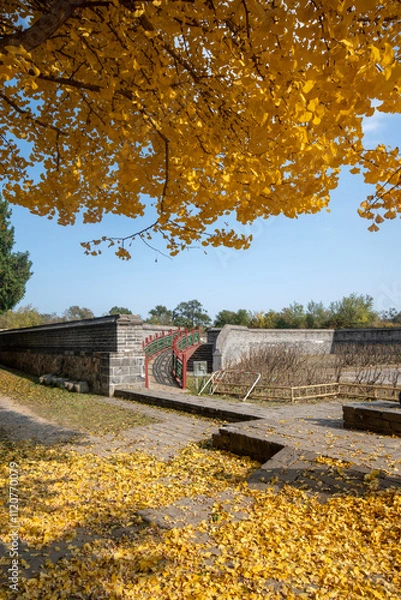 Fototapeta Hanjingtang historic site inside Yuanmingyuan Park in Beijing, China