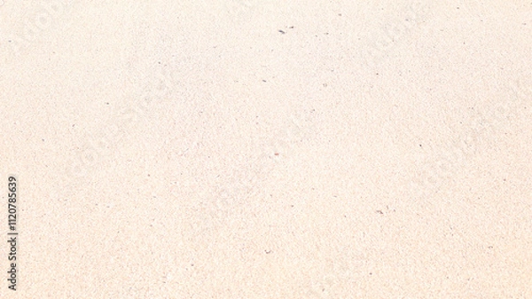 Obraz 砂浜の砂模様