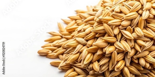 Fototapeta Close-up shot of a single oat with background, oat, grain, healthy, food, breakfast, ingredient, natural, organic
