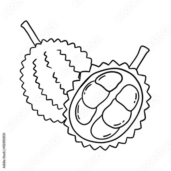 Fototapeta Durian fruit line drawing, tropical fruit, with clear line details, can be used to decorate various designs, and can be used as a coloring picture.