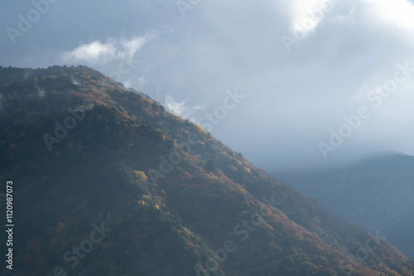 Fototapeta 秋の山