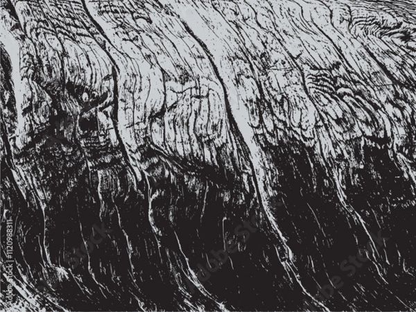 Obraz Elephant Texture Background