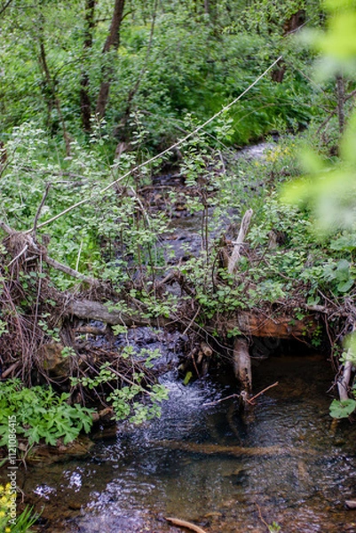 Fototapeta Scenic Waterfalls and Forest Streams in Lush Greenery