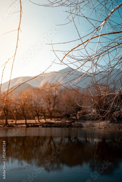 Obraz tree on the lake